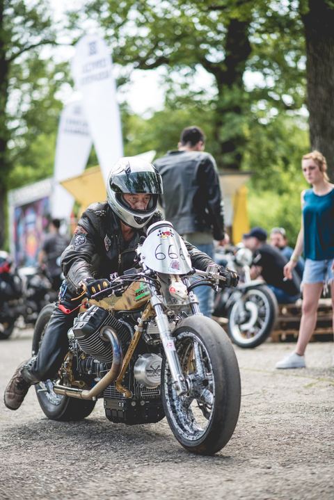 Special dorata che attraversa il paddock